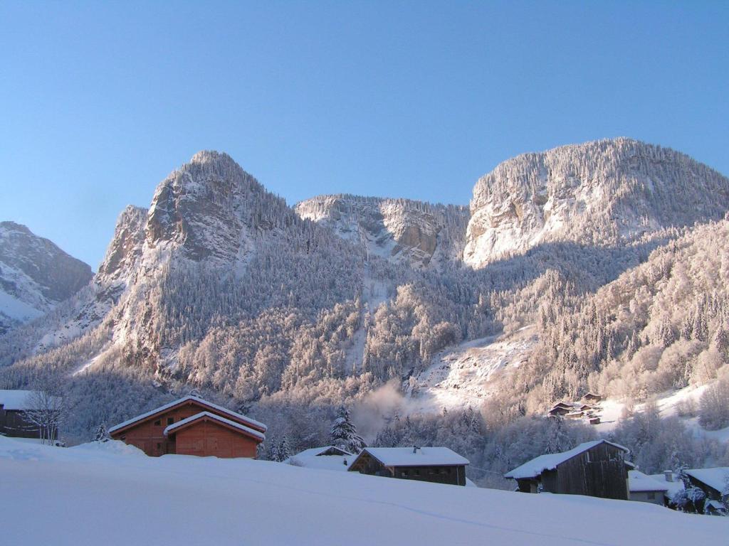 Chalet Narcisse Sixt-Fer-a-Cheval Room photo